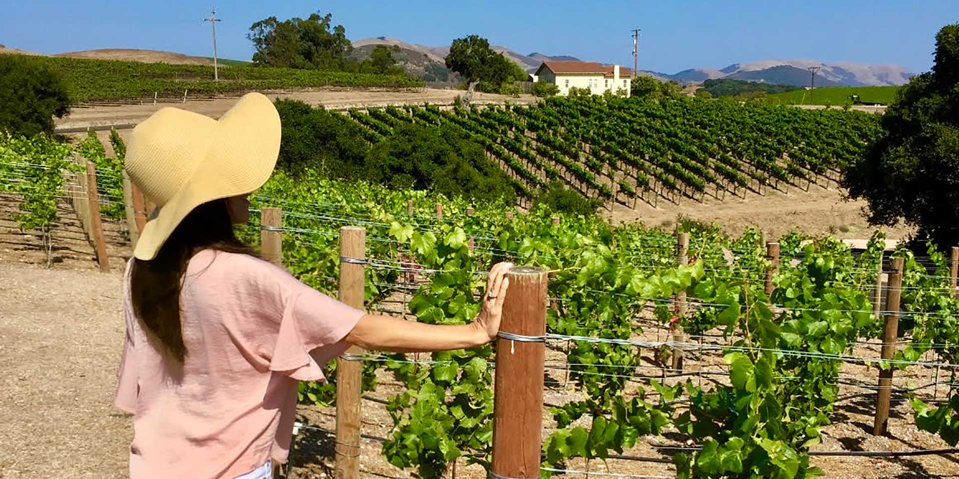 Winetraveler: Wine Tasting Travel Guides, Tours & Tips