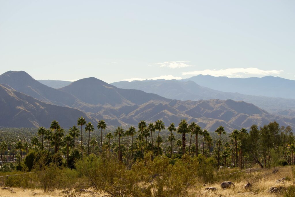 Explore the stunning desert mountains and palm trees in Palm Springs, CA, USA.