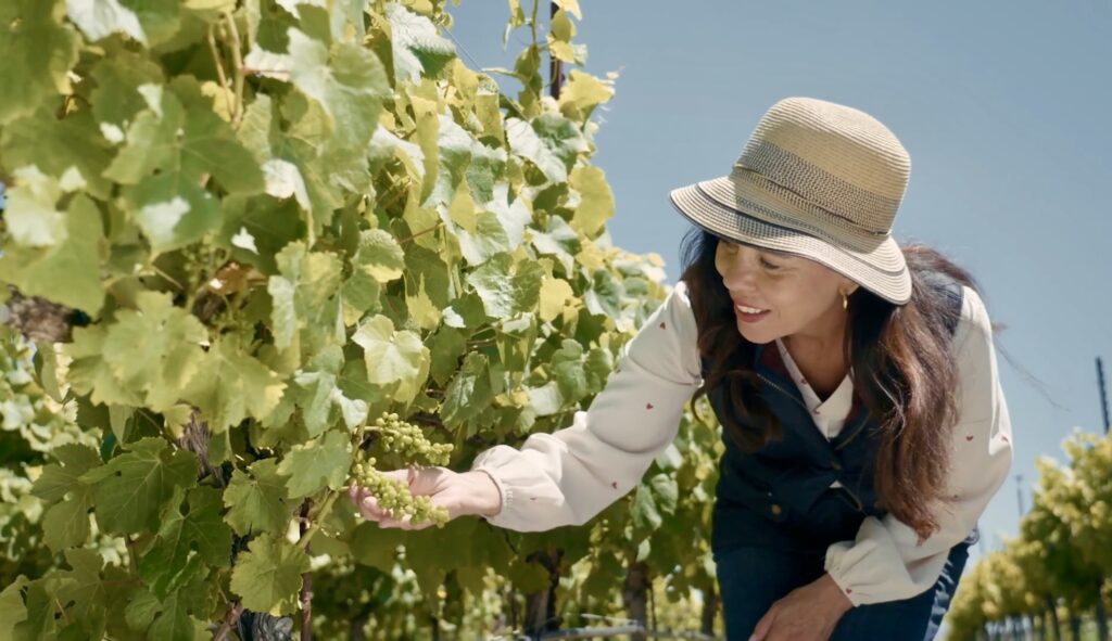 Woman inspecting grapevines in a vineyard, wearing a hat and glasses.