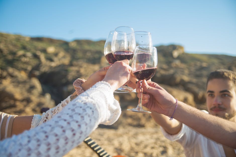 Friends toasting with red wine outdoors in a sunny enotourism landscape with Jamie Knee.