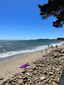 Santa Barbara Butterfly Beach
