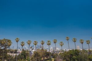 Los Angeles Skyline
