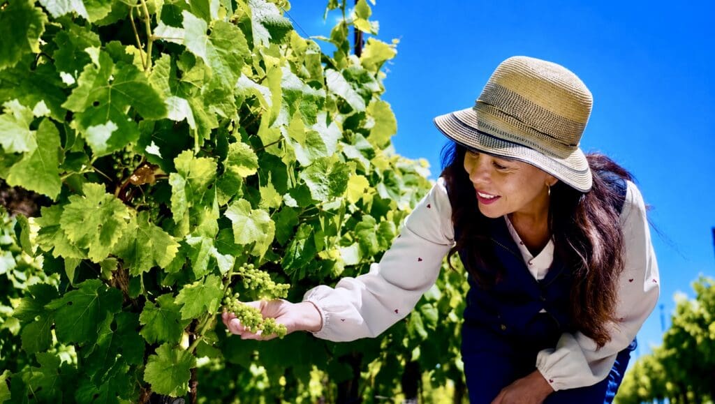 Jamie Knee, Top Wine Travel Writer, Decanter Magazine