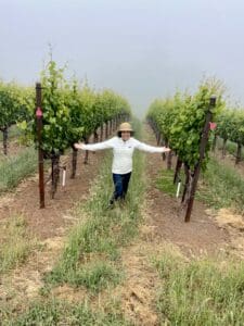 Wine Travel in the fog at Fort Ross Vineyards