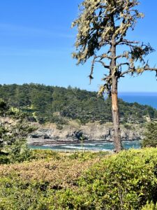 Wine Travel Mendocino with vineyards, rugged cliffs and ocean views