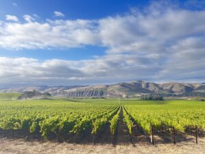 California Wine Country Travel with Jamie Knee
