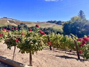 Wine Travel in Paso Robles
