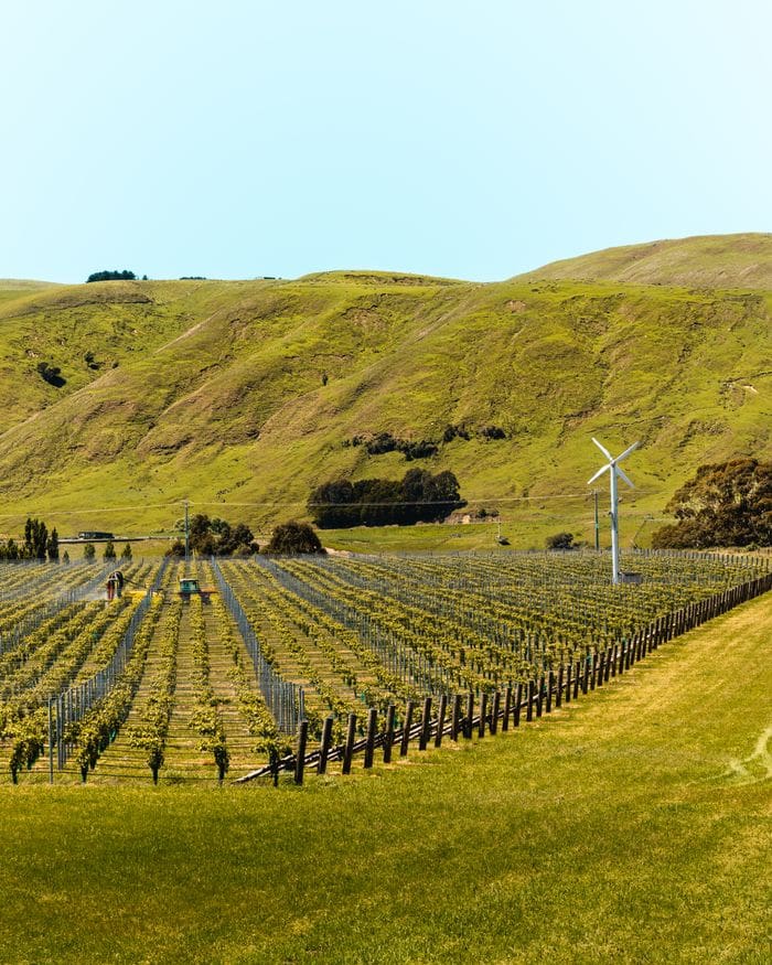 Hawkes Bay, NZ with Wine Travel Speaker Jamie Knee